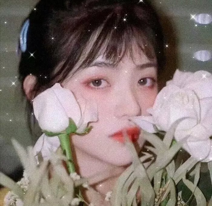 一个老豆一个爸